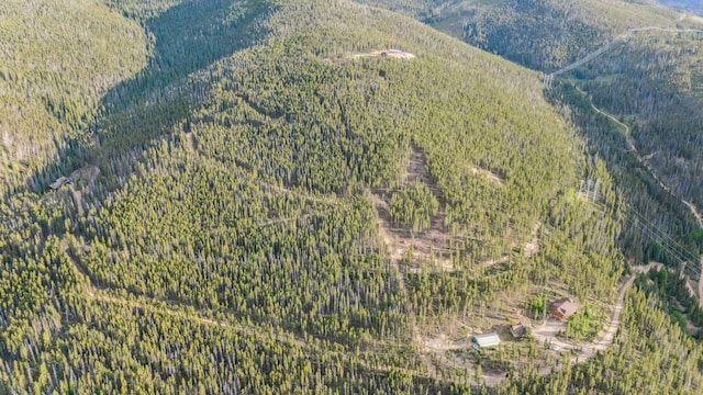 653 Summit Gulch Rd, Breckenridge, CO 80424 - photo 4