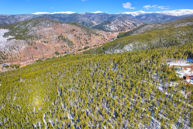 653 Summit Gulch Rd, Breckenridge, CO 80424 - photo 14