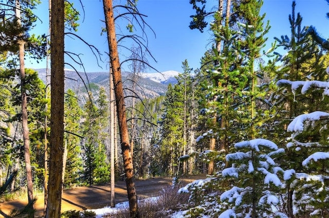 653 Summit Gulch Rd, Breckenridge, CO 80424 - photo 20