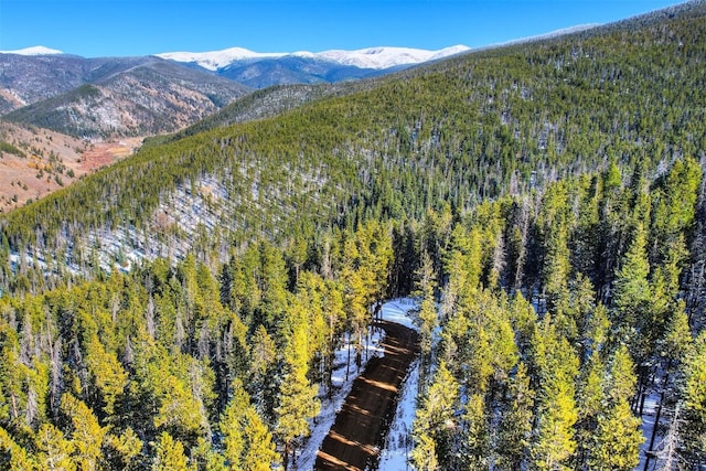 653 Summit Gulch Rd, Breckenridge, CO 80424 - photo 15