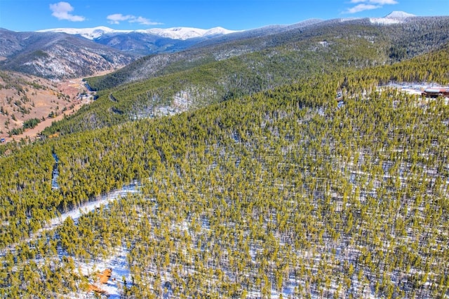 653 Summit Gulch Rd, Breckenridge, CO 80424 - photo 13
