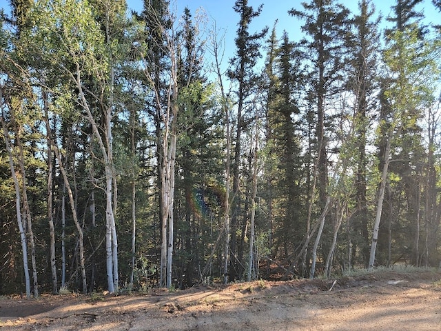 1071 Apache Trl, Como, CO 80432 - photo 15
