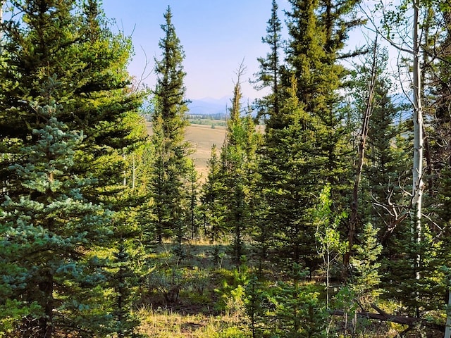 1071 Apache Trl, Como, CO 80432 - photo 11