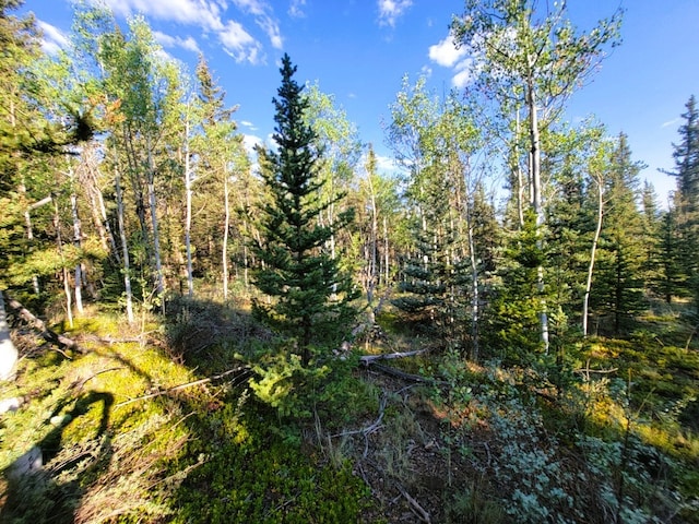 1071 Apache Trl, Como, CO 80432 - photo 13