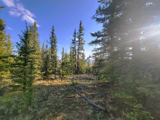 1071 Apache Trl, Como, CO 80432 - photo 16