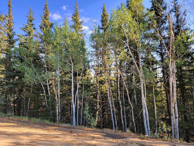 1071 Apache Trl, Como, CO 80432 - photo 2
