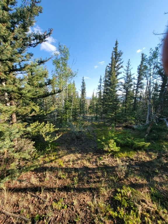 1071 Apache Trl, Como, CO 80432 - photo 12