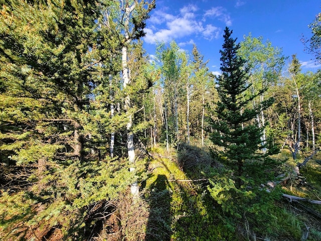 1071 Apache Trl, Como, CO 80432 - photo 14
