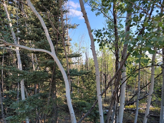 1071 Apache Trl, Como, CO 80432 - photo 8