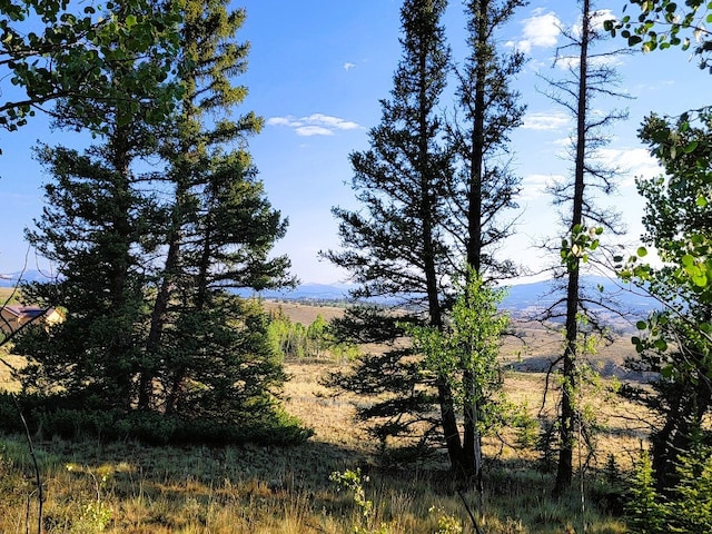 1071 Apache Trl, Como, CO 80432 - photo 22