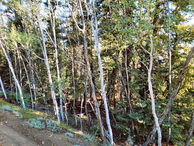 1071 Apache Trl, Como, CO 80432 - photo 7