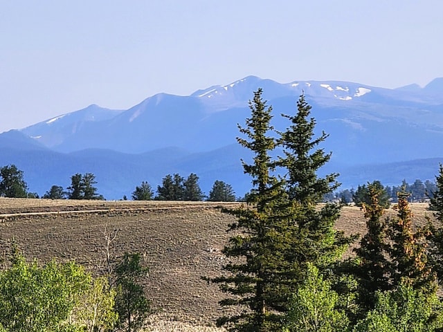 1071 Apache Trl, Como, CO 80432 - photo 4