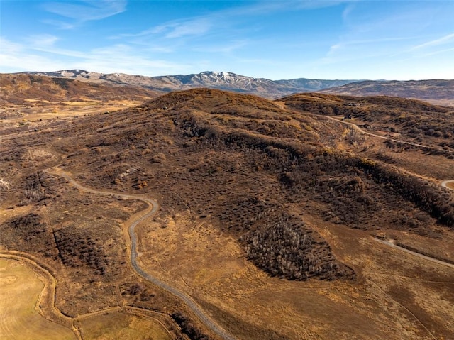 42260 Story Teller Ln, Steamboat Springs, CO 80487