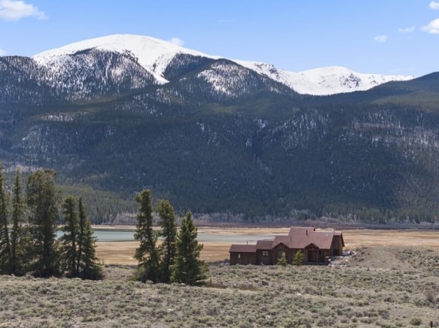 38 Lang Rd, Twin Lakes, CO 81251 - photo 28