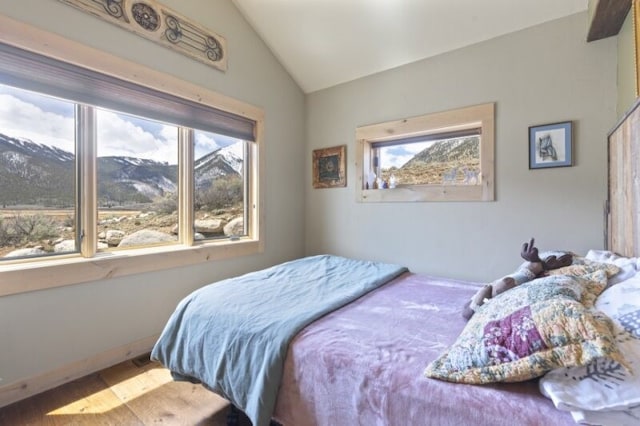 38 Lang Rd, Twin Lakes, CO 81251 - photo 19