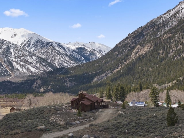 38 Lang Rd, Twin Lakes, CO 81251 - photo 30