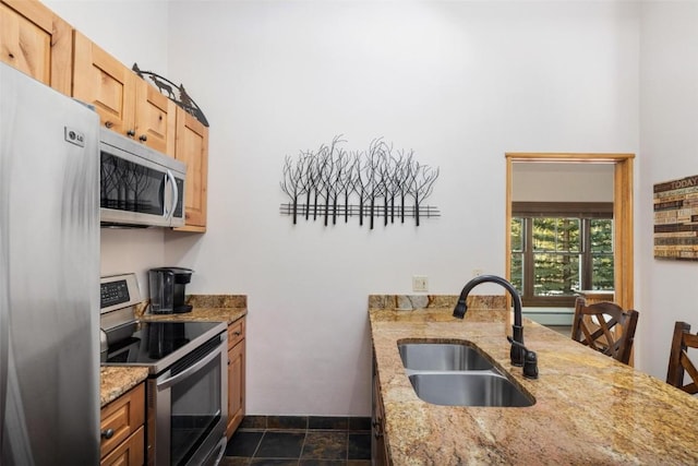 kitchen with light stone countertops, stainless steel appliances, a high ceiling, and a sink