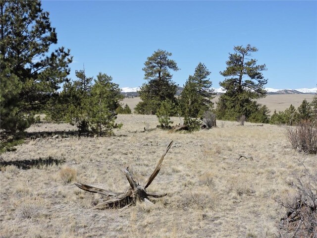 237 Rocky Mountain Ct, Hartsel, CO 80449