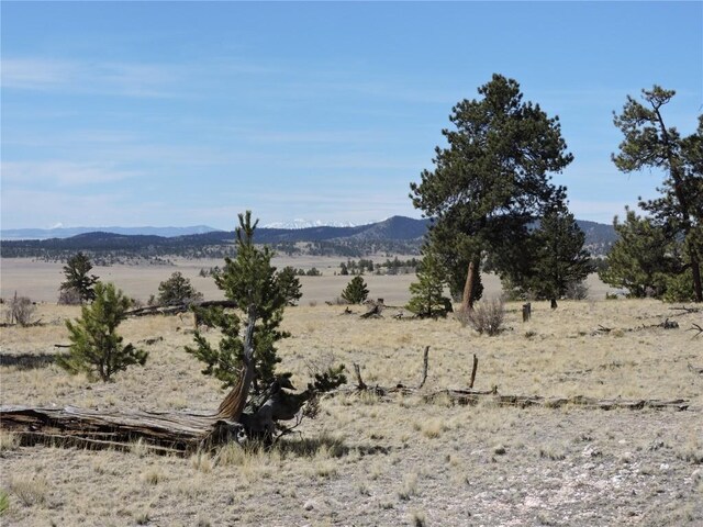 237 Rocky Mountain Ct, Hartsel, CO 80449