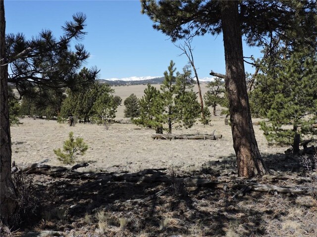 237 Rocky Mountain Ct, Hartsel, CO 80449