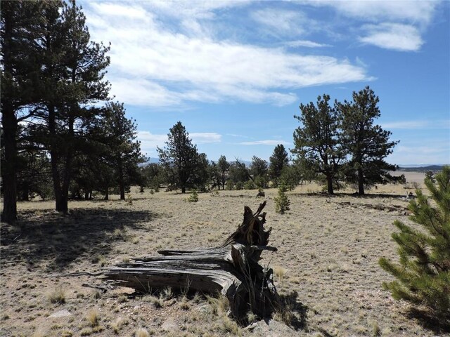 237 Rocky Mountain Ct, Hartsel, CO 80449