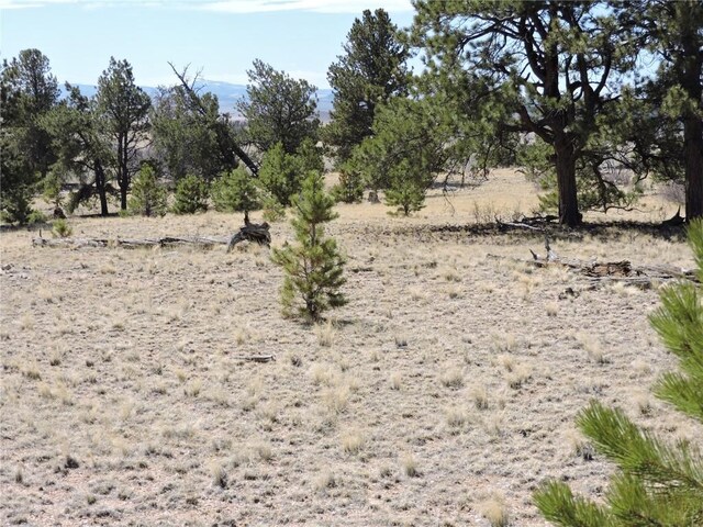 237 Rocky Mountain Ct, Hartsel, CO 80449