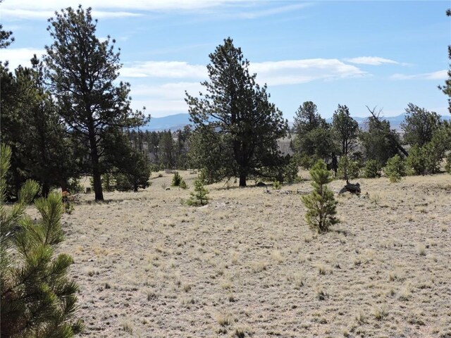 237 Rocky Mountain Ct, Hartsel, CO 80449