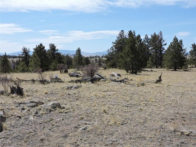 237 Rocky Mountain Ct, Hartsel, CO 80449