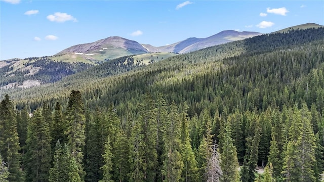 view of mountain backdrop with a forest