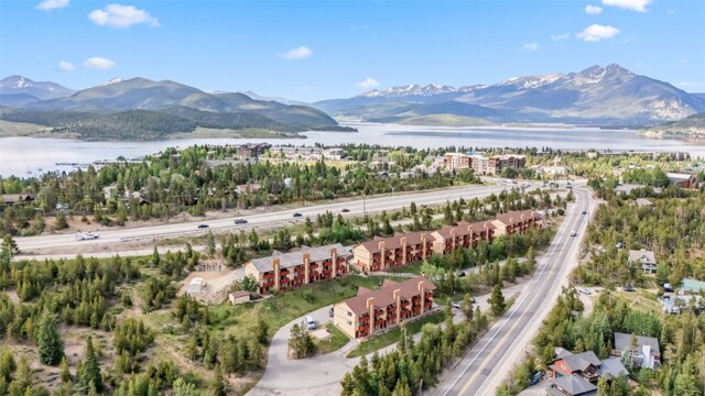 180 Evergreen Rd Unit 202, Dillon, CO 80435 - photo 3