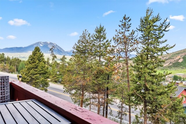180 Evergreen Rd Unit 202, Dillon, CO 80435 - photo 26