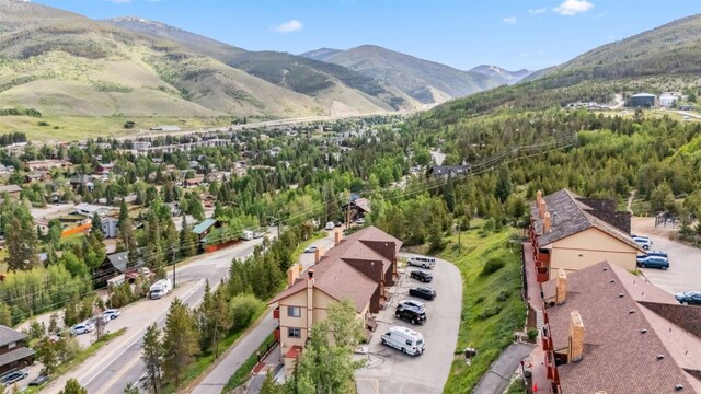 180 Evergreen Rd Unit 202, Dillon, CO 80435 - photo 37