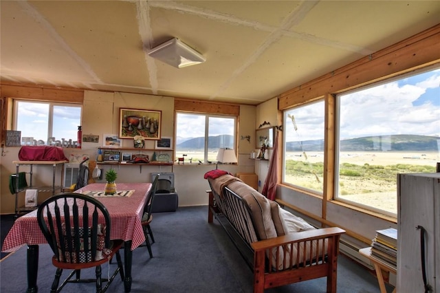 1091 Kokanee Rd, Fairplay, CO 80440 - dining area with carpet and a baseboard heating unit
