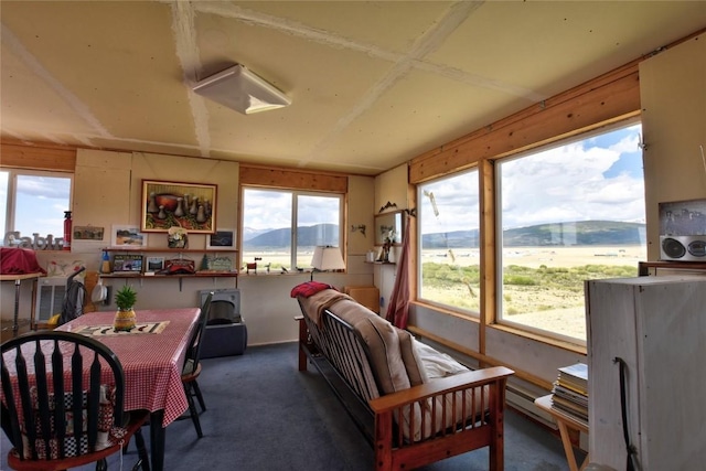 1091 Kokanee Rd, Fairplay, CO 80440 - dining space featuring carpet floors