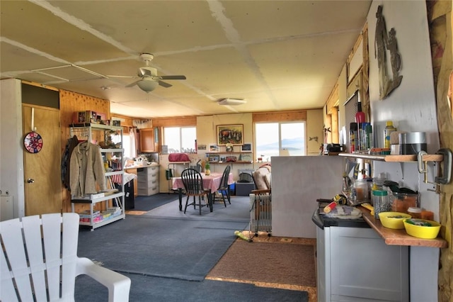 1091 Kokanee Rd, Fairplay, CO 80440 - kitchen with carpet and ceiling fan