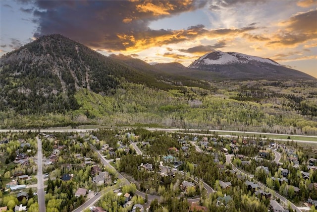 214 Windflower Ln, Frisco, CO 80443 - view of mountain backdrop with a forest