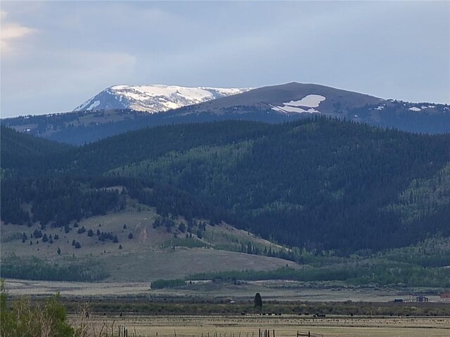 250 Swandyke Ct, Jefferson, CO 80456 - photo 41
