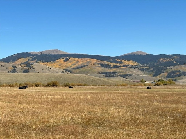 250 Swandyke Ct, Jefferson, CO 80456