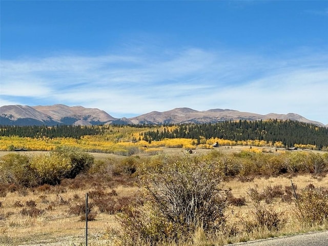 250 Swandyke Ct, Jefferson, CO 80456