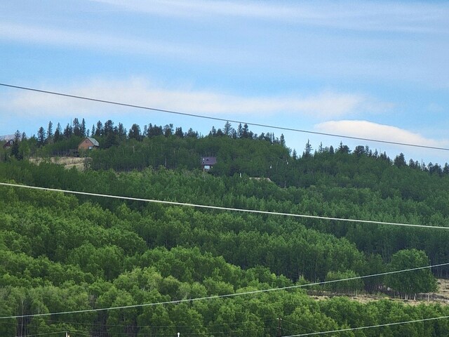 250 Swandyke Ct, Jefferson, CO 80456 - photo 26