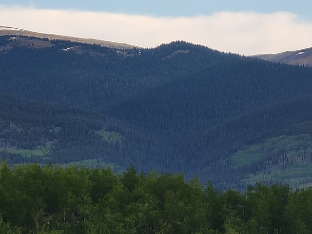 250 Swandyke Ct, Jefferson, CO 80456