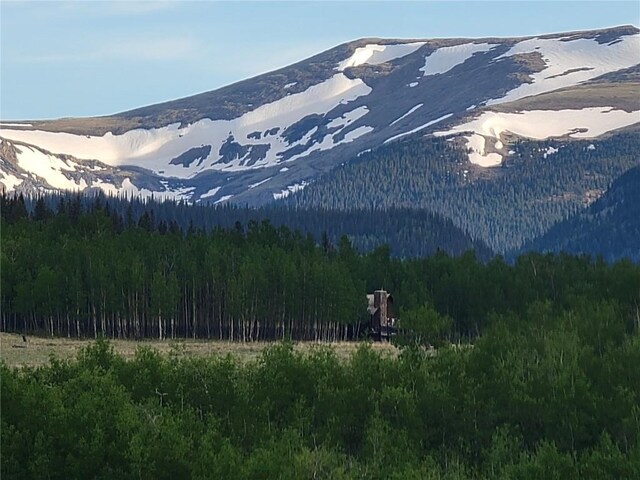 250 Swandyke Ct, Jefferson, CO 80456 - photo 40