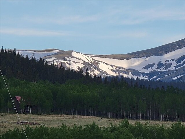 250 Swandyke Ct, Jefferson, CO 80456 - photo 42
