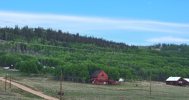 250 Swandyke Ct, Jefferson, CO 80456 - photo 25