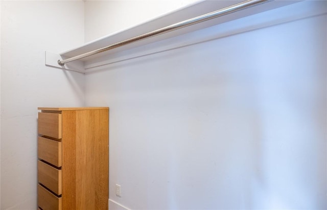 1090 Blue River Pkwy Unit 203, Silverthorne, CO 80498 - view of walk in closet