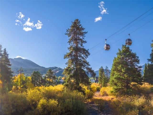 166 Woods Dr Unit 2, Breckenridge, CO 80424 - photo 13