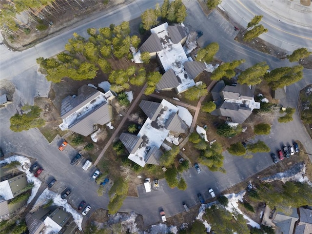 1179 Ski Hill Rd Unit 147, Breckenridge, CO 80424 - drone / aerial view