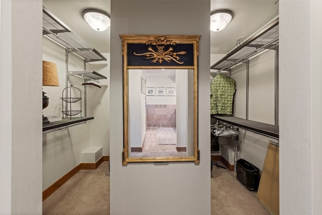 34 Snow Peak Ct, Dillon, CO 80435 - spacious closet with carpet
