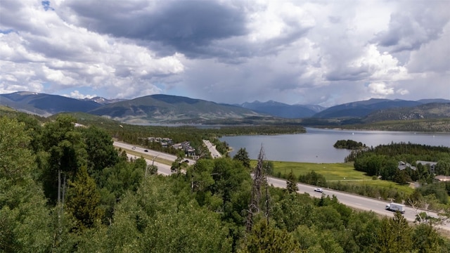354 Giberson Rd, Frisco, CO 80498