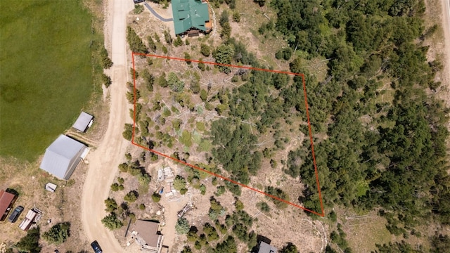 354 Giberson Rd, Frisco, CO 80498